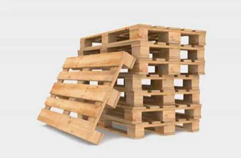Pallets de Madeira