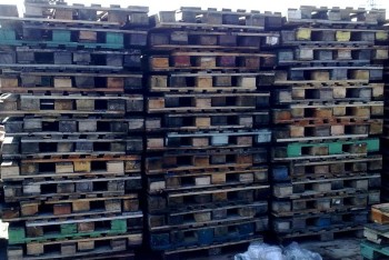 Fornecedor de Pallets PBR em São Paulo