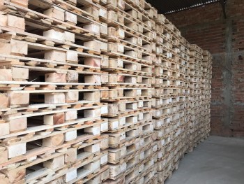 Fábrica de Paletes PBR em São Paulo