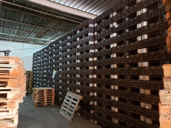 Locação de Caixas GLT