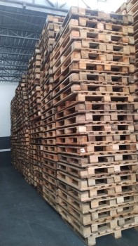 Venda de Pallet de Madeira Usado em São Paulo